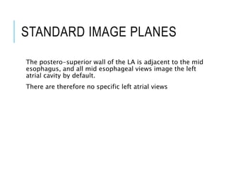 STANDARD IMAGE PLANES
The postero-superior wall of the LA is adjacent to the mid
esophagus, and all mid esophageal views image the left
atrial cavity by default.
There are therefore no specific left atrial views
 