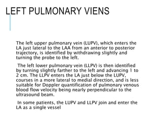 LEFT PULMONARY VIENS
The left upper pulmonary vein (LUPV), which enters the
LA just lateral to the LAA from an anterior to posterior
trajectory, is identified by withdrawing slightly and
turning the probe to the left.
The left lower pulmonary vein (LLPV) is then identified
by turning slightly farther to the left and advancing 1 to
2 cm. The LLPV enters the LA just below the LUPV,
courses in a more lateral to medial direction, and is less
suitable for Doppler quantification of pulmonary venous
blood flow velocity being nearly perpendicular to the
ultrasound beam.
In some patients, the LUPV and LLPV join and enter the
LA as a single vessel
 