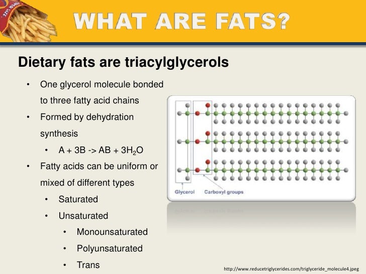 WHAT ARE FATS? Dietary fats