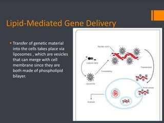 Lipid-Mediated Gene Delivery 
 Transfer of genetic material 
into the cells takes place via 
liposomes , which are vesicles 
that can merge with cell 
membrane since they are 
both made of phospholipid 
bilayer. 
 
