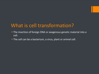 What is cell transformation? 
 The insertion of foreign DNA or exogenous genetic material into a 
cell. 
 The cell can be a bacterium, a virus, plant or animal cell. 
 