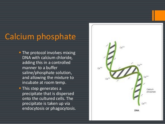 Transfection