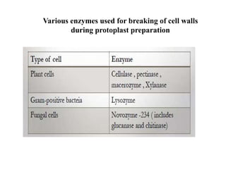 Various enzymes used for breaking of cell walls
during protoplast preparation
 