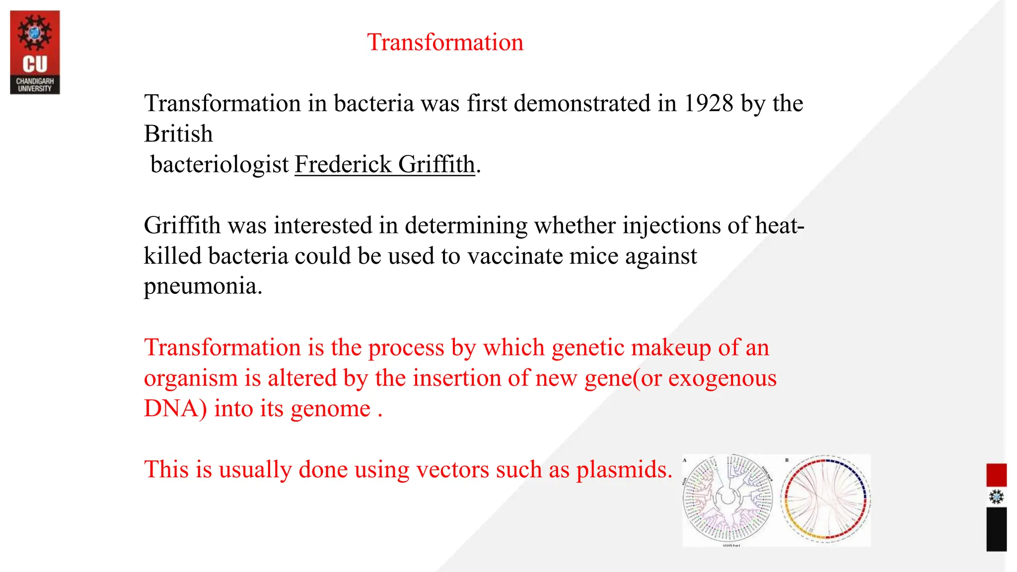 Transfection in Gene Transfer Techniques | PPTX