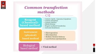 Transfection in Gene Transfer Techniques | PPTX