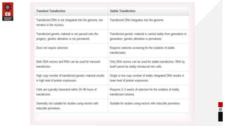 Transfection in Gene Transfer Techniques | PPTX