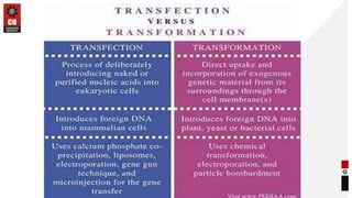 Transfection in Gene Transfer Techniques | PPTX