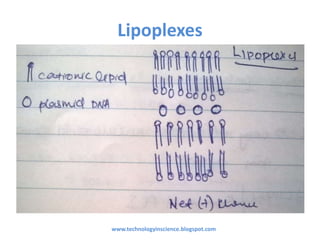Lipoplexes
www.technologyinscience.blogspot.com
 