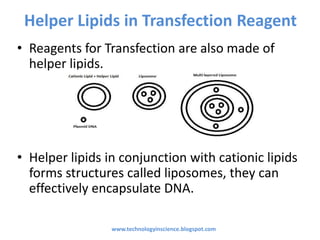 Helper Lipids in Transfection Reagent
• Reagents for Transfection are also made of
helper lipids.
• Helper lipids in conjunction with cationic lipids
forms structures called liposomes, they can
effectively encapsulate DNA.
www.technologyinscience.blogspot.com
 