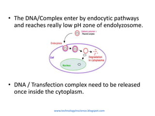 • The DNA/Complex enter by endocytic pathways
and reaches really low pH zone of endolyzosome.
• DNA / Transfection complex need to be released
once inside the cytoplasm.
www.technologyinscience.blogspot.com
 