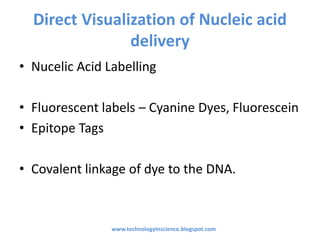 Direct Visualization of Nucleic acid
delivery
• Nucelic Acid Labelling
• Fluorescent labels – Cyanine Dyes, Fluorescein
• Epitope Tags
• Covalent linkage of dye to the DNA.
www.technologyinscience.blogspot.com
 