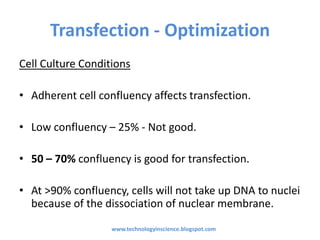 Cell Culture Conditions
• Adherent cell confluency affects transfection.
• Low confluency – 25% - Not good.
• 50 – 70% confluency is good for transfection.
• At >90% confluency, cells will not take up DNA to nuclei
because of the dissociation of nuclear membrane.
Transfection - Optimization
www.technologyinscience.blogspot.com
 