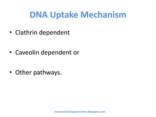 DNA Uptake Mechanism
• Clathrin dependent
• Caveolin dependent or
• Other pathways.
www.technologyinscience.blogspot.com
 
