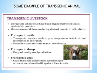 SOME EXAMPLE OF TRANSGENIC ANIMAL
 