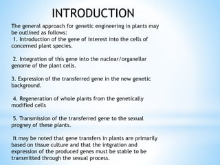 The general approach for genetic engineering in plants may
be outlined as follows:
1. Introduction of the gene of interest into the cells of
concerned plant species.
2. Integration of this gene into the nuclear/organellar
genome of the plant cells.
3. Expression of the transferred gene in the new genetic
background.
4. Regeneration of whole plants from the genetically
modified cells
5. Transmission of the transferred gene to the sexual
progney of these plants.
It may be noted that gene transfers in plants are primarily
based on tissue culture and that the intgration and
expression of the produced genes must be stable to be
transmitted through the sexual process.
INTRODUCTION
 