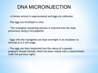 - A female animal is superovulated and eggs are collected.
- The eggs are fertilized in vitro.
- The transgene containing solution is injected into the male
pronucleus using a micropipette.
- Eggs with the transgenes are kept overnight in an incubator to
develop to a 2 cell stage.
- The eggs are then implanted into the uterus of a pseudo -
pregnant female (female which has been mated with a vasectimized
male the previous night)
DNA MICROINJECTION
 