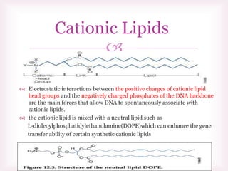 
 Electrostatic interactions between the positive charges of cationic lipid
head groups and the negatively charged phosphates of the DNA backbone
are the main forces that allow DNA to spontaneously associate with
cationic lipids.
 the cationic lipid is mixed with a neutral lipid such as
L-dioleoylphosphatidylethanolamine(DOPE)which can enhance the gene
transfer ability of certain synthetic cationic lipids
Cationic Lipids
 