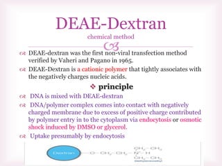  DEAE-dextran was the first non-viral transfection method
verified by Vaheri and Pagano in 1965.
 DEAE-Dextran is a cationic polymer that tightly associates with
the negatively charges nucleic acids.
 principle
 DNA is mixed with DEAE-dextran
 DNA/polymer complex comes into contact with negatively
charged membrane due to excess of positive charge contributed
by polymer entry in to the cytoplasm via endocytosis or osmotic
shock induced by DMSO or glycerol.
 Uptake presumably by endocytosis
DEAE-Dextran
chemical method
 