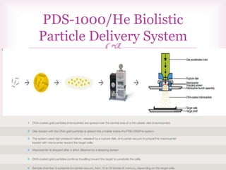 
PDS-1000/He Biolistic
Particle Delivery System
 