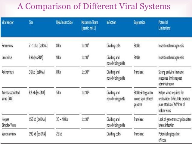 Transfection Method