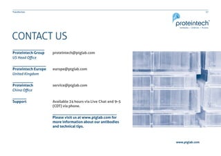 17Transfection
CONTACT US
proteintech@ptglab.com
europe@ptglab.com
service@ptglab.com
Available 24 hours via Live Chat and 9–5
(CDT) via phone.
Proteintech Group
Proteintech Europe
Proteintech
Support
US Head Office
United Kingdom
China Office
Please visit us at www.ptglab.com for
more information about our antibodies
and technical tips.
www.ptglab.com
 