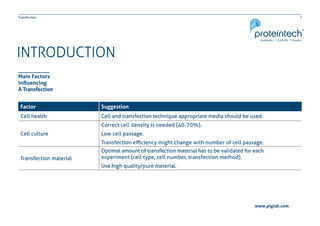 7Transfection
www.ptglab.com
Main Factors
Influencing
A Transfection
Factor Suggestion
Cell health Cell and transfection technique appropriate media should be used.
Cell culture
Correct cell density is needed (40-70%).
Low cell passage.
Transfection efficiency might change with number of cell passage.
Transfection material
Optimal amount of transfection material has to be validated for each
experiment (cell type, cell number, transfection method).
Use high quality/pure material.
INTRODUCTION
 