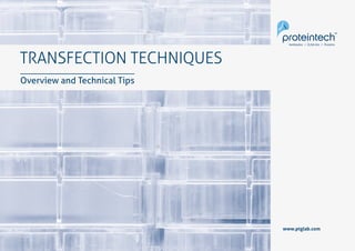 1Transfection
TRANSFECTION TECHNIQUES
Overview and Technical Tips
www.ptglab.com
 