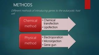 METHODS
Different methods of introducing genes to the eukaryotic host
cell
• Chemical
transfection
• Lipofection
Chemical
method
• Electroporation
• Microinjection
• Gene gun
Physical
method
 