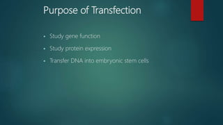 Purpose of Transfection
 Study gene function
 Study protein expression
 Transfer DNA into embryonic stem cells
 