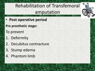 Rehabilitation of Transfemoral
amputation
• Post operative period
Pre prosthetic stage:
To prevent
1. Deformity
2. Decubitus contracture
3. Stump edema
4. Phantom limb
 