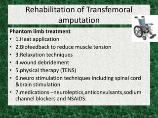 Rehabilitation of Transfemoral
amputation
Phantom limb treatment
• 1.Heat application
• 2.Biofeedback to reduce muscle tension
• 3.Relaxation techniques
• 4.wound debridement
• 5.physical therapy (TENS)
• 6.neuro stimulation techniques including spinal cord
&brain stimulation
• 7.medications –neuroleptics,anticonvulsants,sodium
channel blockers and NSAIDS.
 
