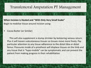 Transfemoral Amputation PT Management
When Incision is Healed and “With Only Very Small Scabs”
Begin to mobilize tissue around incision using:
• Cocoa Butter (or Similar)
This will also supplement a stump shrinker by bolstering venous return.
Plus it will loosen subcutaneous tissues so tissues move more freely. Pay
particular attention to any tissue adherence to the distal tibia or distal
femur. Pressures inside of a prosthesis will displace tissues on the limb and
any tissue that is “hypo-mobile” can be symptomatic and can prevent the
patient from making progress in their rehabilitation
 
