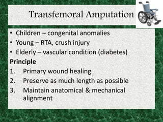 Transfemoral Amputation
• Children – congenital anomalies
• Young – RTA, crush injury
• Elderly – vascular condition (diabetes)
Principle
1. Primary wound healing
2. Preserve as much length as possible
3. Maintain anatomical & mechanical
alignment
 
