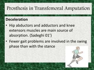 Prosthesis in Transfemoral Amputation
Deceleration
• Hip abductors and adductors and knee
extensors muscles are main source of
absorption. (Sadeghi 01’)
• Fewer gait problems are involved in the swing
phase than with the stance
 