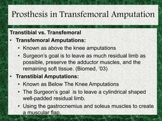 Prosthesis in Transfemoral Amputation
Transtibial vs. Transfemoral
• Transfemoral Amputations:
• Known as above the knee amputations
• Surgeon’s goal is to leave as much residual limb as
possible, preserve the adductor muscles, and the
remaining soft tissue. (Biomed, ’03)
• Transtibial Amputations:
• Known as Below The Knee Amputations
• The Surgeon’s goal is to leave a cylindrical shaped
well-padded residual limb.
• Using the gastrocnemius and soleus muscles to create
a muscular flap.
 
