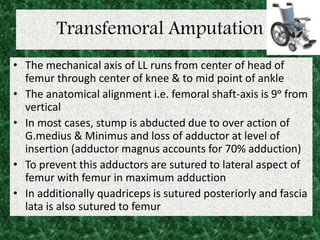 Transfemoral Amputation
• The mechanical axis of LL runs from center of head of
femur through center of knee & to mid point of ankle
• The anatomical alignment i.e. femoral shaft-axis is 9ᵒ from
vertical
• In most cases, stump is abducted due to over action of
G.medius & Minimus and loss of adductor at level of
insertion (adductor magnus accounts for 70% adduction)
• To prevent this adductors are sutured to lateral aspect of
femur with femur in maximum adduction
• In additionally quadriceps is sutured posteriorly and fascia
lata is also sutured to femur
 