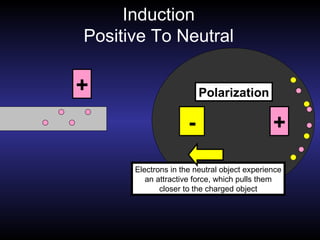Induction Positive To Neutral Polarization + -  + Electrons in the neutral object experience an attractive force, which pulls them closer to the charged object 