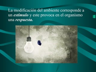 La modificación del ambiente corresponde a
un estímulo y este provoca en el organismo
una respuesta.
 