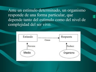 Ante un estímulo determinado, un organismo
responde de una forma particular, que
depende tanto del estímulo como del nivel de
complejidad del ser vivo.
 