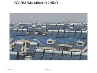ECOSISTEMA URBANO CHINO
12/09/2016 Y Milachay 19
 