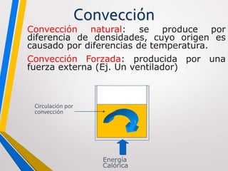 Convección
Convección natural: se produce por
diferencia de densidades, cuyo origen es
causado por diferencias de temperatura.
Convección Forzada: producida por una
fuerza externa (Ej. Un ventilador)
Circulación por
convección
Energía
Calórica
 
