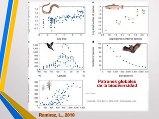 Patrones globales
de la biodiversidad
 