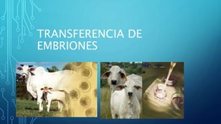 TRANSFERENCIA DE
EMBRIONES
 