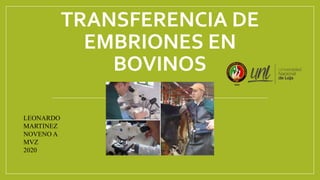 TRANSFERENCIA DE
EMBRIONES EN
BOVINOS
LEONARDO
MARTINEZ
NOVENO A
MVZ
2020
 