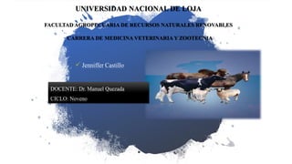 UNIVERSIDAD NACIONAL DE LOJA
FACULTAD AGROPECUARIA DE RECURSOS NATURALES RENOVABLES
CARRERA DE MEDICINA VETERINARIA Y ZOOTECNIA
 Jenniffer Castillo
DOCENTE: Dr. Manuel Quezada
CICLO: Noveno
 