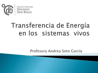 Profesora Andrea Soto García
 