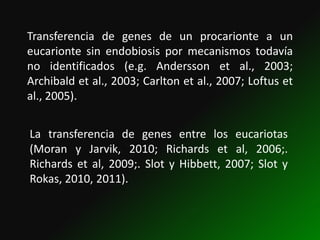 Transferencia de genes de un procarionte a un
eucarionte sin endobiosis por mecanismos todavía
no identificados (e.g. Andersson et al., 2003;
Archibald et al., 2003; Carlton et al., 2007; Loftus et
al., 2005).


La transferencia de genes entre los eucariotas
(Moran y Jarvik, 2010; Richards et al, 2006;.
Richards et al, 2009;. Slot y Hibbett, 2007; Slot y
Rokas, 2010, 2011).
 