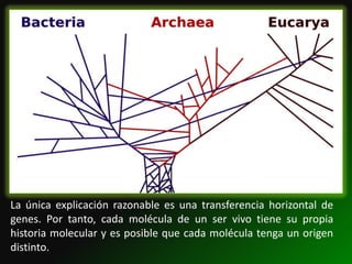 La única explicación razonable es una transferencia horizontal de
genes. Por tanto, cada molécula de un ser vivo tiene su propia
historia molecular y es posible que cada molécula tenga un origen
distinto.
 