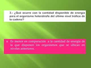    Es menor en comparación a la cantidad de energía de
    la que disponen los organismos que se ubican en
    niveles anteriores.
 