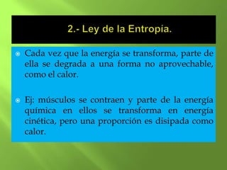    Cada vez que la energía se transforma, parte de
    ella se degrada a una forma no aprovechable,
    como el calor.

   Ej: músculos se contraen y parte de la energía
    química en ellos se transforma en energía
    cinética, pero una proporción es disipada como
    calor.
 
